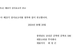 [공고] 제23기 감사보고서